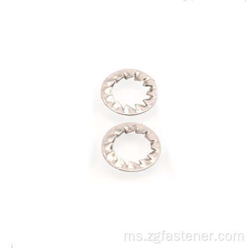 DIN6798 Gigi dalaman keluli tahan karat Serrated Lock Washer